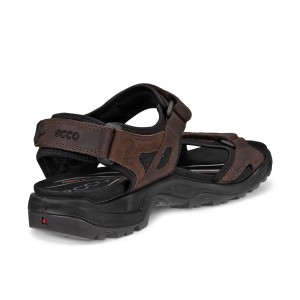 ECCO Offroad