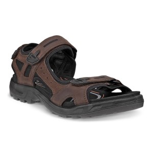 ECCO Offroad