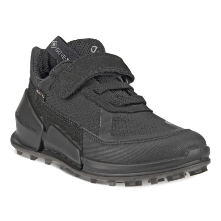 ECCO Biom K2